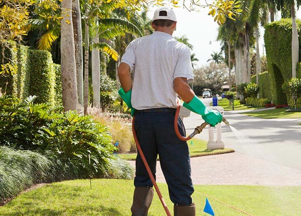 About Union Lake MI Pest Control